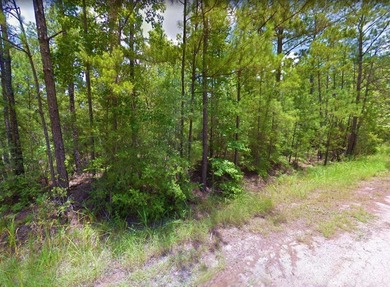 Beautiful lot in Rayburn Country! Perfect location and just a on Rayburn Country Club in Texas - for sale on GolfHomes.com, golf home, golf lot
