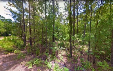 1/4 acre lot in Rayburn Country! Located just a golf cart ride on Rayburn Country Club in Texas - for sale on GolfHomes.com, golf home, golf lot
