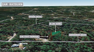 1/4 acre lot in Rayburn Country! Located just a golf cart ride on Rayburn Country Club in Texas - for sale on GolfHomes.com, golf home, golf lot