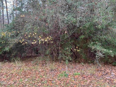 1/4 acre lot in Rayburn Country! Located just a golf cart ride on Rayburn Country Club in Texas - for sale on GolfHomes.com, golf home, golf lot