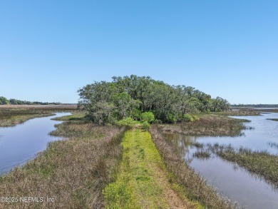 Private Island in Queen's Harbour - No HOA Fees A rare chance to on Queens Harbour Yacht and Country Club in Florida - for sale on GolfHomes.com, golf home, golf lot