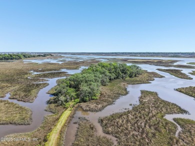 Private Island in Queen's Harbour - No HOA Fees A rare chance to on Queens Harbour Yacht and Country Club in Florida - for sale on GolfHomes.com, golf home, golf lot