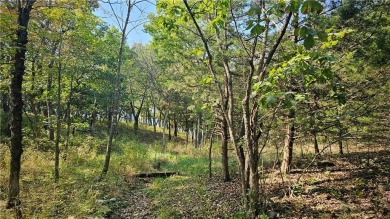 Fantastic lot in Linn Valley Lakes resort-like community! Build on Linn Valley Lakes - Deer Trace Golf Course in Kansas - for sale on GolfHomes.com, golf home, golf lot