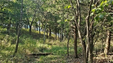 Fantastic lot in Linn Valley Lakes resort-like community! Build on Linn Valley Lakes - Deer Trace Golf Course in Kansas - for sale on GolfHomes.com, golf home, golf lot