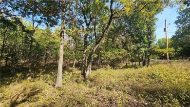 Fantastic lot in Linn Valley Lakes resort-like community! Build on Linn Valley Lakes - Deer Trace Golf Course in Kansas - for sale on GolfHomes.com, golf home, golf lot