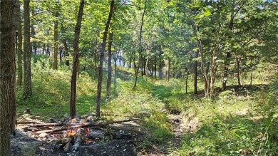Fantastic lot in Linn Valley Lakes resort-like community! Build on Linn Valley Lakes - Deer Trace Golf Course in Kansas - for sale on GolfHomes.com, golf home, golf lot
