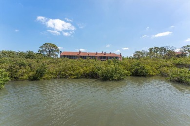 Rarely available in this tucked away community in the heart of on Baypoint Golf Club in Florida - for sale on GolfHomes.com, golf home, golf lot