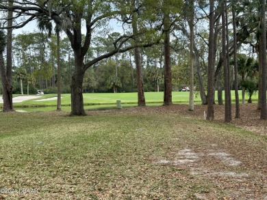 Ready to build, cleared, extra long lot in 24/7 guard gated on Plantation Bay Golf and Country Club in Florida - for sale on GolfHomes.com, golf home, golf lot