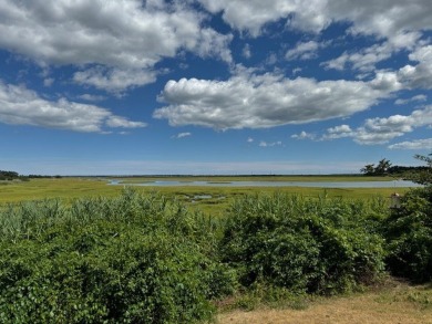 Breathtaking views!!!!  This two bedroom, one bathroom home on Captains Cove Golf and Yacht Club in Virginia - for sale on GolfHomes.com, golf home, golf lot