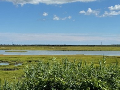 Breathtaking views!!!!  This two bedroom, one bathroom home on Captains Cove Golf and Yacht Club in Virginia - for sale on GolfHomes.com, golf home, golf lot