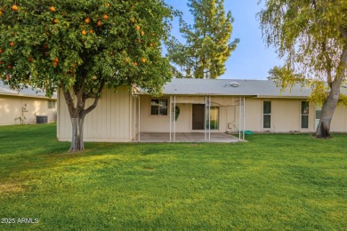 Charming 2 bedroom home in established and well manicured on PalmBrook Country Club in Arizona - for sale on GolfHomes.com, golf home, golf lot