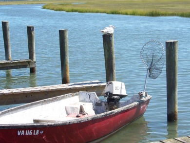 Breathtaking views!!!!  This two bedroom, one bathroom home on Captains Cove Golf and Yacht Club in Virginia - for sale on GolfHomes.com, golf home, golf lot