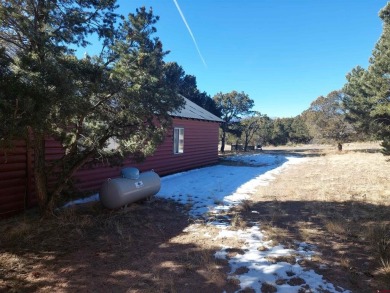 Yvonne Hoffman, Steffens and Company Realty, Inc, C: , hoffman on Rio Grande Golf Club in Colorado - for sale on GolfHomes.com, golf home, golf lot