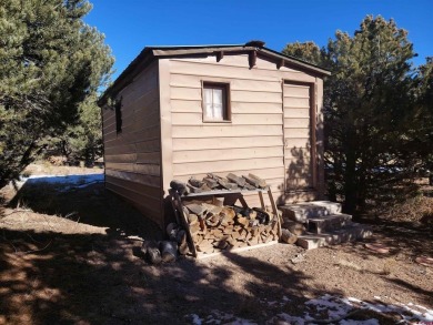 Yvonne Hoffman, Steffens and Company Realty, Inc, C: , hoffman on Rio Grande Golf Club in Colorado - for sale on GolfHomes.com, golf home, golf lot