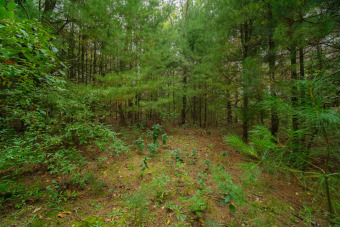 A nice square 10 acre parcel! Approximately 660 ft. x 660 ft on The Heathlands in Michigan - for sale on GolfHomes.com, golf home, golf lot