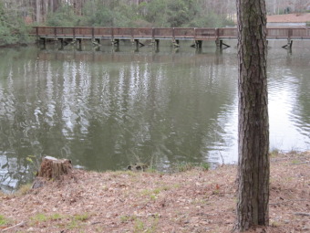 DON'T MISS THIS OPPORTUNITY to build your dream home on one of on Cypress Landing Golf Club in North Carolina - for sale on GolfHomes.com, golf home, golf lot