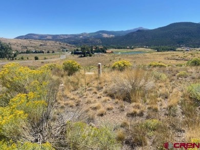 Trisha Taylor, RE/MAX Pinnacle, C: , trisha,  : Located In the on Rio Grande Golf Club in Colorado - for sale on GolfHomes.com, golf home, golf lot