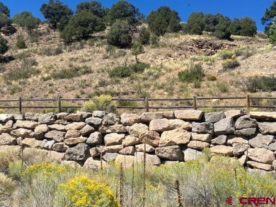 Trisha Taylor, RE/MAX Pinnacle, C: , trisha,  : Located In the on Rio Grande Golf Club in Colorado - for sale on GolfHomes.com, golf home, golf lot