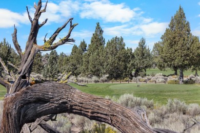 Welcome to Juniper Preserve, your golf and wellness sanctuary on The Club At Pronghorn Golf Course in Oregon - for sale on GolfHomes.com, golf home, golf lot
