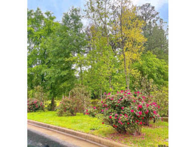 2198 Pinehurst St is a rare vacant lot in the highly on Hollytree Country Club in Texas - for sale on GolfHomes.com, golf home, golf lot