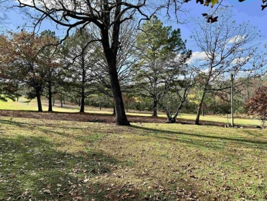 STEP OUT YOUR BACK DOOR ONTO THE GOLF COURSE! Check out this 2 on The Course At Turkey Mountain in Arkansas - for sale on GolfHomes.com, golf home, golf lot