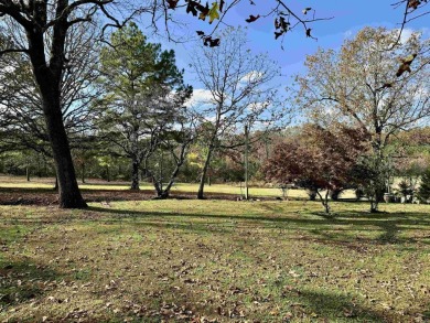 STEP OUT YOUR BACK DOOR ONTO THE GOLF COURSE! Check out this 2 on The Course At Turkey Mountain in Arkansas - for sale on GolfHomes.com, golf home, golf lot