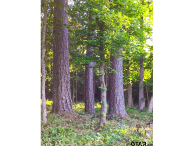 2198 Pinehurst St is a rare vacant lot in the highly on Hollytree Country Club in Texas - for sale on GolfHomes.com, golf home, golf lot