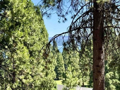 Majestic Mountain Retreat in Lake Almanor West! Nestled just on Lake Almanor West Golf Course in California - for sale on GolfHomes.com, golf home, golf lot
