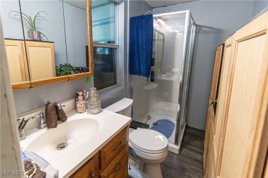 Call Michael Tully at Realty One for questions/showings on Stallion Mountain Golf Course in Nevada - for sale on GolfHomes.com, golf home, golf lot