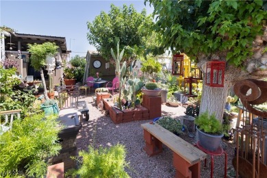 Call Michael Tully at Realty One for questions/showings on Stallion Mountain Golf Course in Nevada - for sale on GolfHomes.com, golf home, golf lot