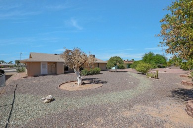 HONEY STOP THE CAR!! Welcome to your FRESHLY REMODELED home in on Sun City-Willow Creek / Willow Brook  in Arizona - for sale on GolfHomes.com, golf home, golf lot