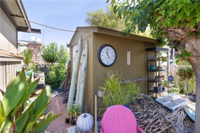 Call Michael Tully at Realty One for questions/showings on Stallion Mountain Golf Course in Nevada - for sale on GolfHomes.com, golf home, golf lot