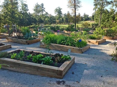 Welcome to 128 Palmer Pointe Way, tucked on a cul-de-sac in the on The Club At Twelve Oaks in North Carolina - for sale on GolfHomes.com, golf home, golf lot