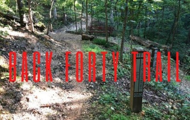 New construction on a spacious .31-acre wooded lot with a level on Bella Vista - Metfield Golf Complex and Country Club in Arkansas - for sale on GolfHomes.com, golf home, golf lot