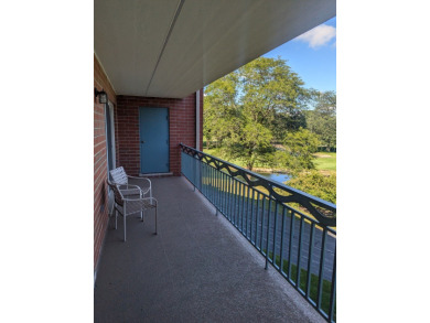 Spectacular golf course view! Great location & price. Upscale on Old Orchard Country Club in Illinois - for sale on GolfHomes.com, golf home, golf lot