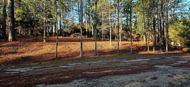Build-ready 0.23-acre lot in the heart of Rayburn Country! This on Rayburn Country Club in Texas - for sale on GolfHomes.com, golf home, golf lot