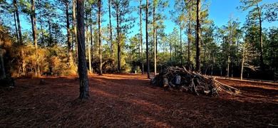 Build-ready 0.23-acre lot in the heart of Rayburn Country! This on Rayburn Country Club in Texas - for sale on GolfHomes.com, golf home, golf lot