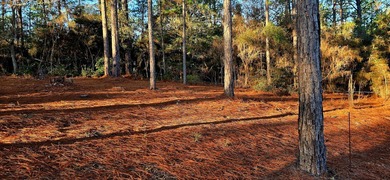Build-ready 0.23-acre lot in the heart of Rayburn Country! This on Rayburn Country Club in Texas - for sale on GolfHomes.com, golf home, golf lot