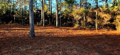 Build-ready 0.23-acre lot in the heart of Rayburn Country! This on Rayburn Country Club in Texas - for sale on GolfHomes.com, golf home, golf lot