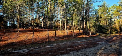 Build-ready 0.23-acre lot in the heart of Rayburn Country! This on Rayburn Country Club in Texas - for sale on GolfHomes.com, golf home, golf lot