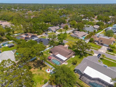 TRANQUIILITY at it's Finest! TRUE PEACE OF MIND ZONED - NO FLOOD on The Dunedin Country Club in Florida - for sale on GolfHomes.com, golf home, golf lot