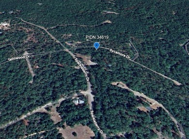 Two of the last remaining lots on Northview Drive in Rayburn on Rayburn Country Club in Texas - for sale on GolfHomes.com, golf home, golf lot