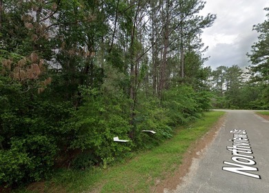 Two of the last remaining lots on Northview Drive in Rayburn on Rayburn Country Club in Texas - for sale on GolfHomes.com, golf home, golf lot