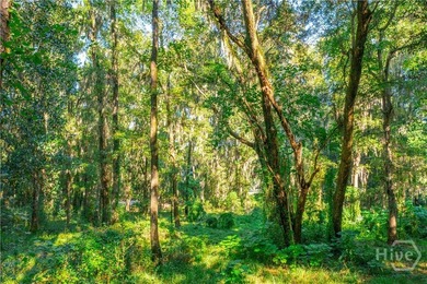 Build your dream home beneath a canopy of centuries-old live on The Ford Field and River Club  in Georgia - for sale on GolfHomes.com, golf home, golf lot
