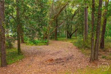 Build your dream home beneath a canopy of centuries-old live on The Ford Field and River Club  in Georgia - for sale on GolfHomes.com, golf home, golf lot
