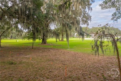 Build your dream home beneath a canopy of centuries-old live on The Ford Field and River Club  in Georgia - for sale on GolfHomes.com, golf home, golf lot