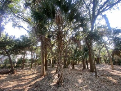 3rd Row Lot on quiet Myrtle Street, easy beach access via Ebb on The Plantation Course At Edisto in South Carolina - for sale on GolfHomes.com, golf home, golf lot
