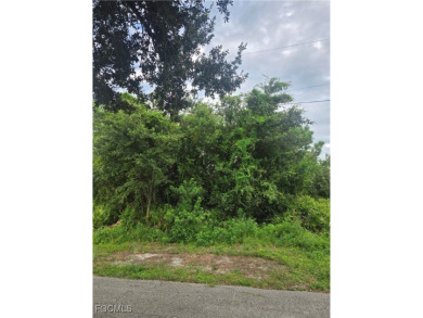 Build your dream home on this lot located on a dead-end street on Copperhead Golf Club in Florida - for sale on GolfHomes.com, golf home, golf lot