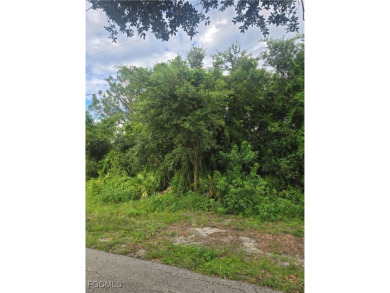 Build your dream home on this lot located on a dead-end street on Copperhead Golf Club in Florida - for sale on GolfHomes.com, golf home, golf lot