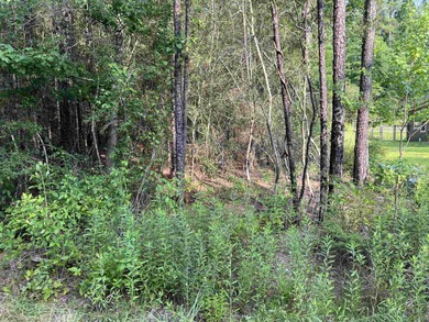 Immaculate, build-ready homesite ideally located just  mile from on Rayburn Country Club in Texas - for sale on GolfHomes.com, golf home, golf lot